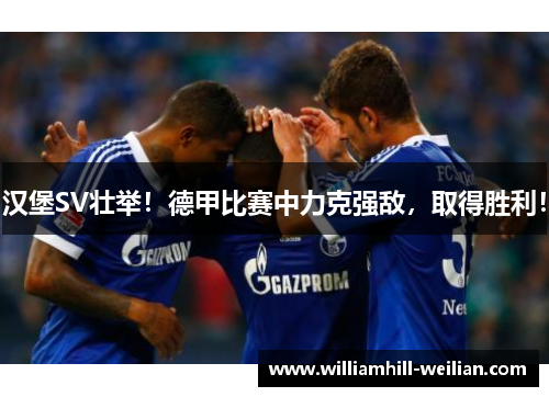 汉堡SV壮举！德甲比赛中力克强敌，取得胜利！